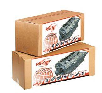 VEGE 79630900 головка циліндра