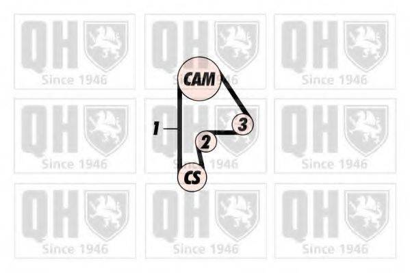QUINTON HAZELL QBK393 Комплект ременя ГРМ